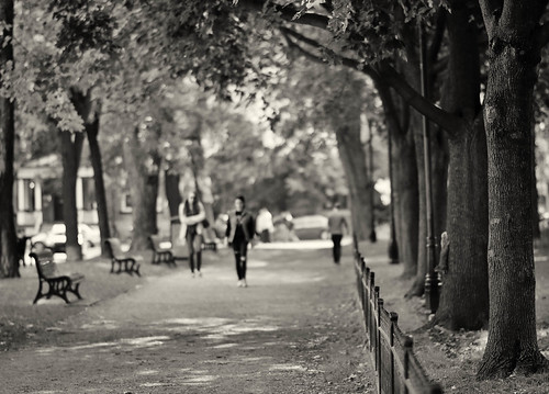 walk in the park 2 | by tea-drinker