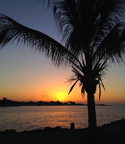 vacation holiday paradise cuba palmtree tropical caribbean playadeleste villabacuranao