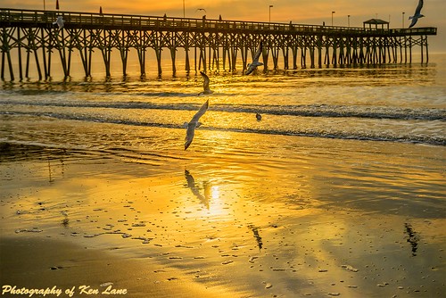 ocean sun seagulls reflection beach birds sunrise reflections myrtlebeach pier warm waves tide southcarolina lowtide atlanticocean ebbtide 2ndavenuepier