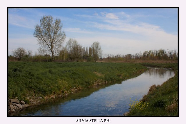 Nature's life in the Po delta  (1)
