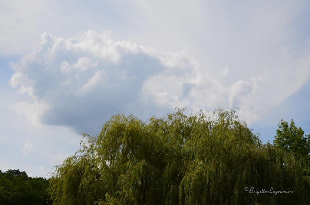Dans les nuages