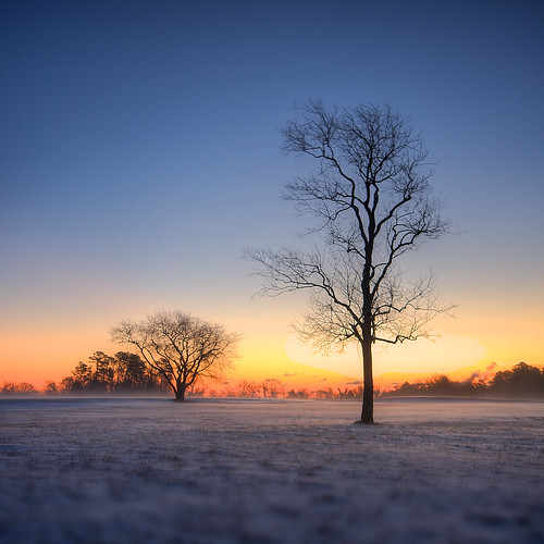 trees winter snow sunrise virginia saturated va yorktown hdr tonemapped sigma1020mmf456exdchsm