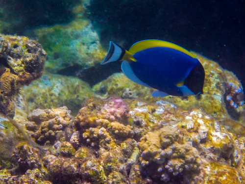 Similan Islands, Thailand