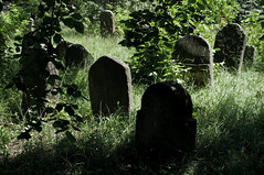 Jewish_cemetery_Sokolow_Malopolski_IMGP4726