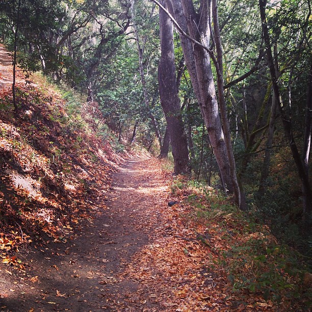 Cottonwood Trail, near Public 'Star Party' at Garland Ranch Regional Park