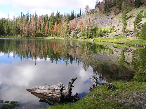 Salmon Challis National Forest - Intermountain Region US Forest Service