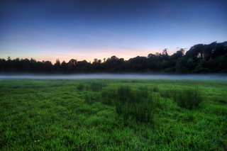 Fog at Lagan Meadows
