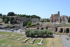 Blick auf Palatino vom Kolosseum aus 2