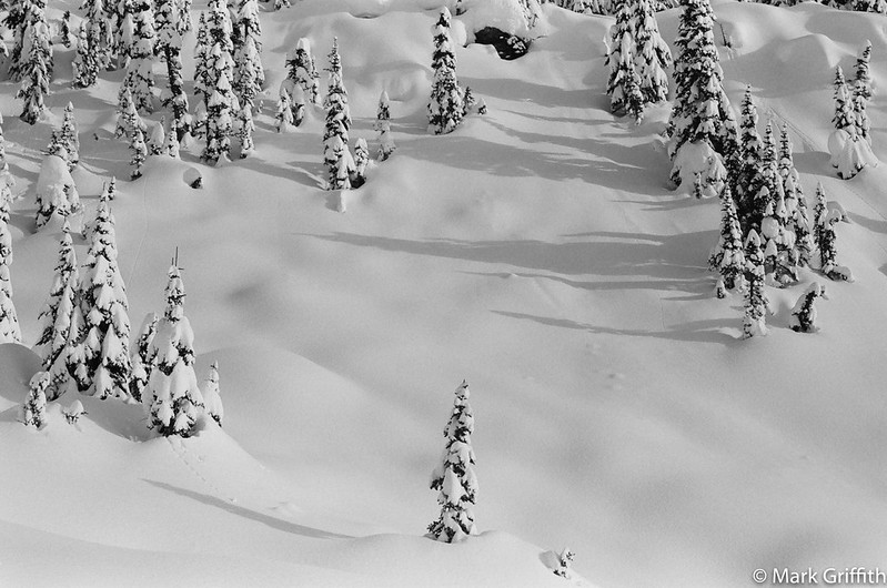 The Winter is Beautiful