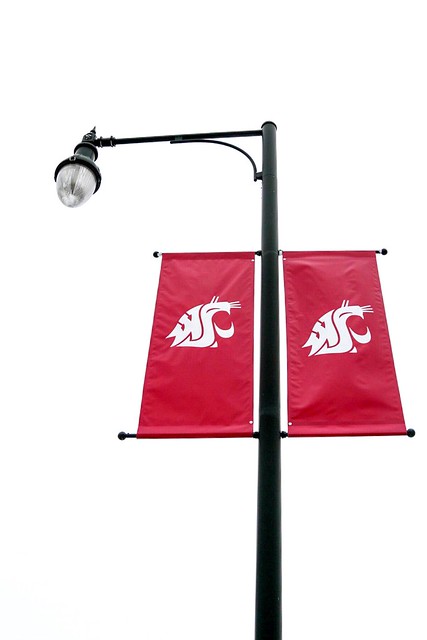 A WSU Lamppost with Winter Sky
