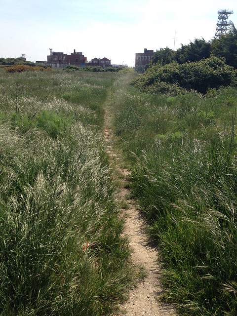 Getting to Eastney Beach 2 
