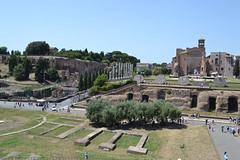 Blick auf Palatino vom Kolosseum aus