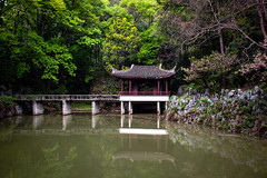 Longzhong - Pond