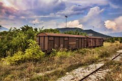 Abandoned train wagons