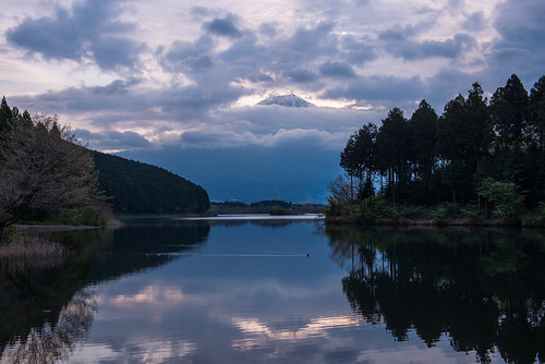 morning mountain lake reflection japan sunrise duck fuji cloudy diamond tanuki fujinomiya tanukiko shizuokaprefecture 2013 arcreyes