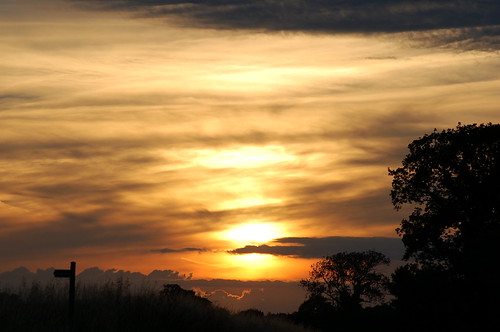 sunset sky cloud sun silhouette clouds atardecer treesilhouette evening suffolk skies sonnenuntergang pôrdosol eastanglia coucherdusoleil treessilhouettes