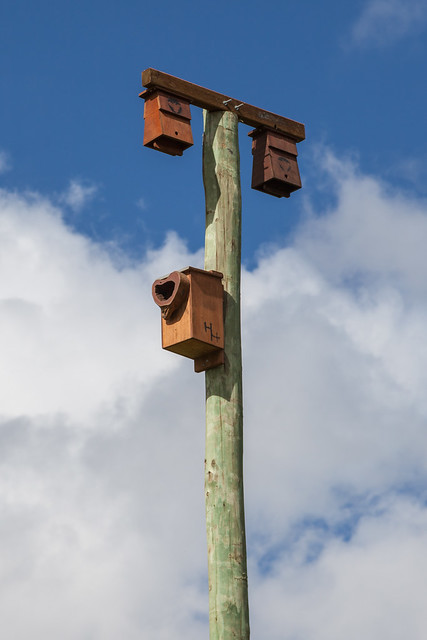 Microbat Boxes and Owl Nest Box Installed