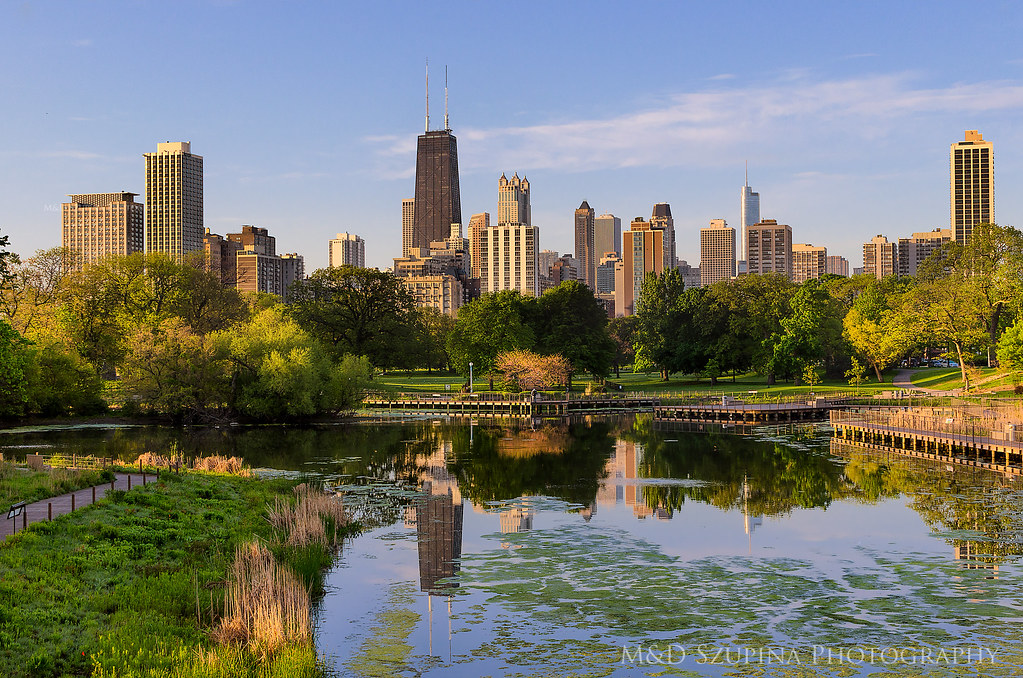 early morning in lincoln park | downtown chicago | M&D SZUPINA ...
