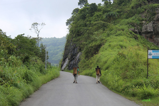 Mizo men coming back from their field