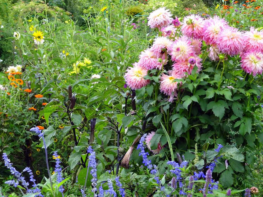 Clos Normand (flower garden) at Claude Monet's House and Gardens in Giverny