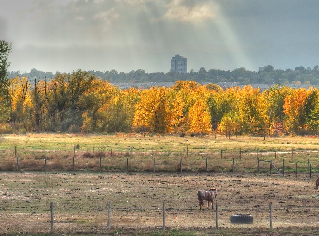 Cherry Creek State Park (hdr)