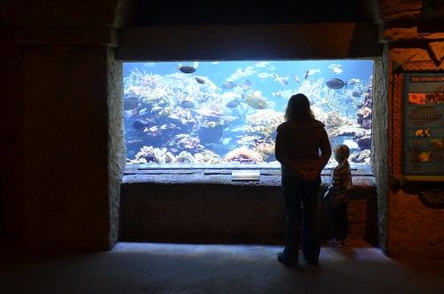 At The Long Island Aquarium | by Joe Shlabotnik