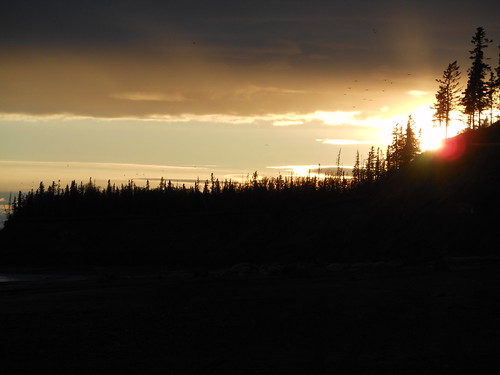 alaska kenai kenaibeach