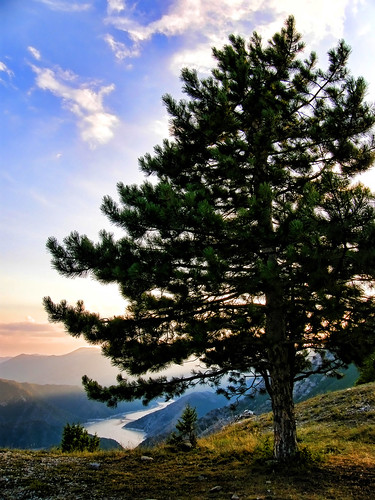 sunset sunlight lake tree pinetree pine clouds europe v100 dusk macedonia gradient rays kozjak treesillouettes