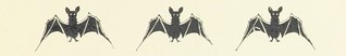 British Library digitised image from page 115 of "The Child World [In verse.] ... Illustrated by C. Robinson" | by The British Library