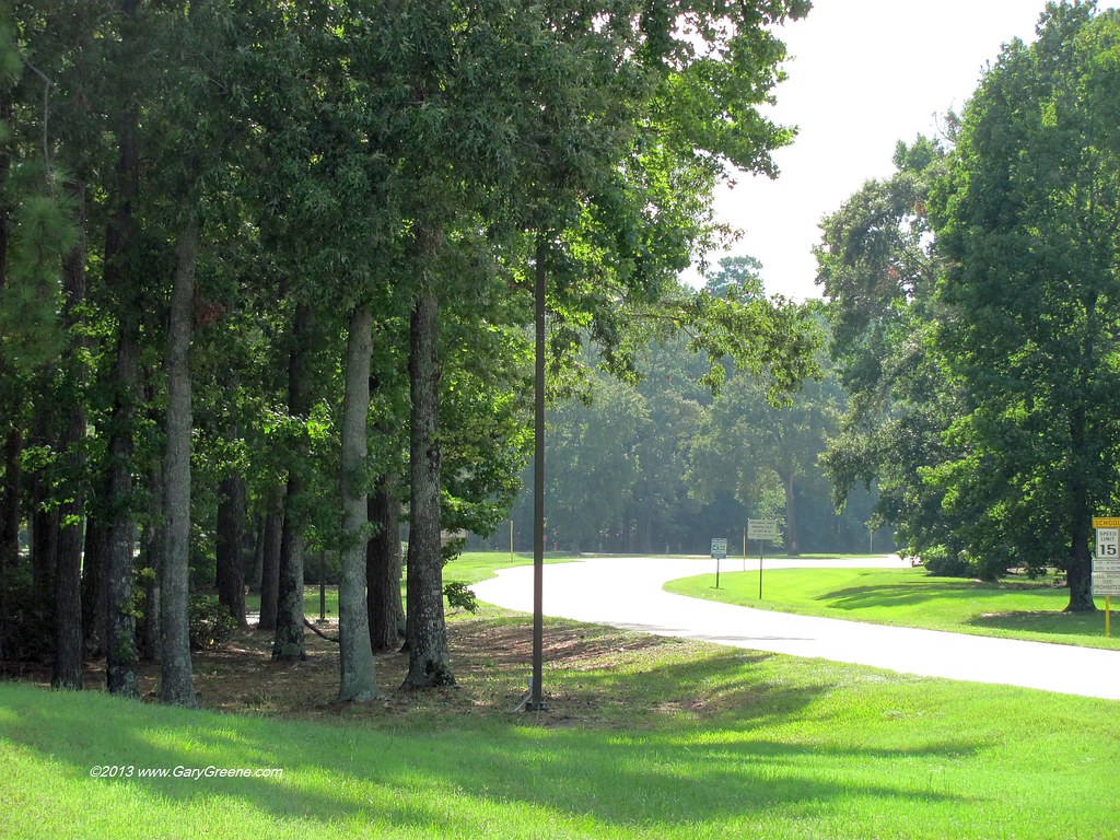 Cumberland - Entrance Road with Trees