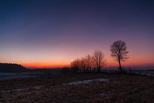 hnatkowice województwopodkarpackie polska winter sunrise sky bluehour bluesky night field tree