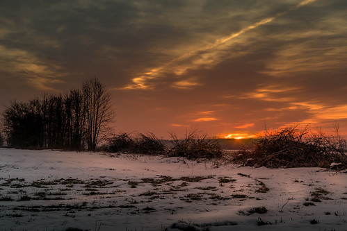 sunrise brush trees lumbering firstlight snow nieve invierno winter december canoneos5dmarkiv cutting piles field campo