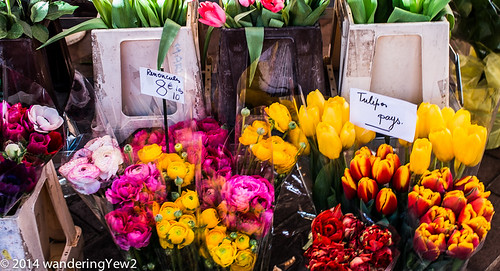 Marché aux fleurs - Nice | Spring flowers, Nice and France