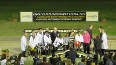 Cannington Greyhound Track Perth - Final Meeting on Old Site