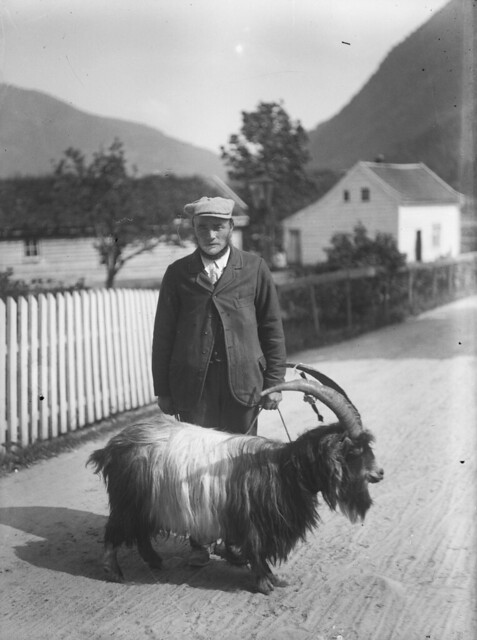 Man and goat, ca. 1915-1930