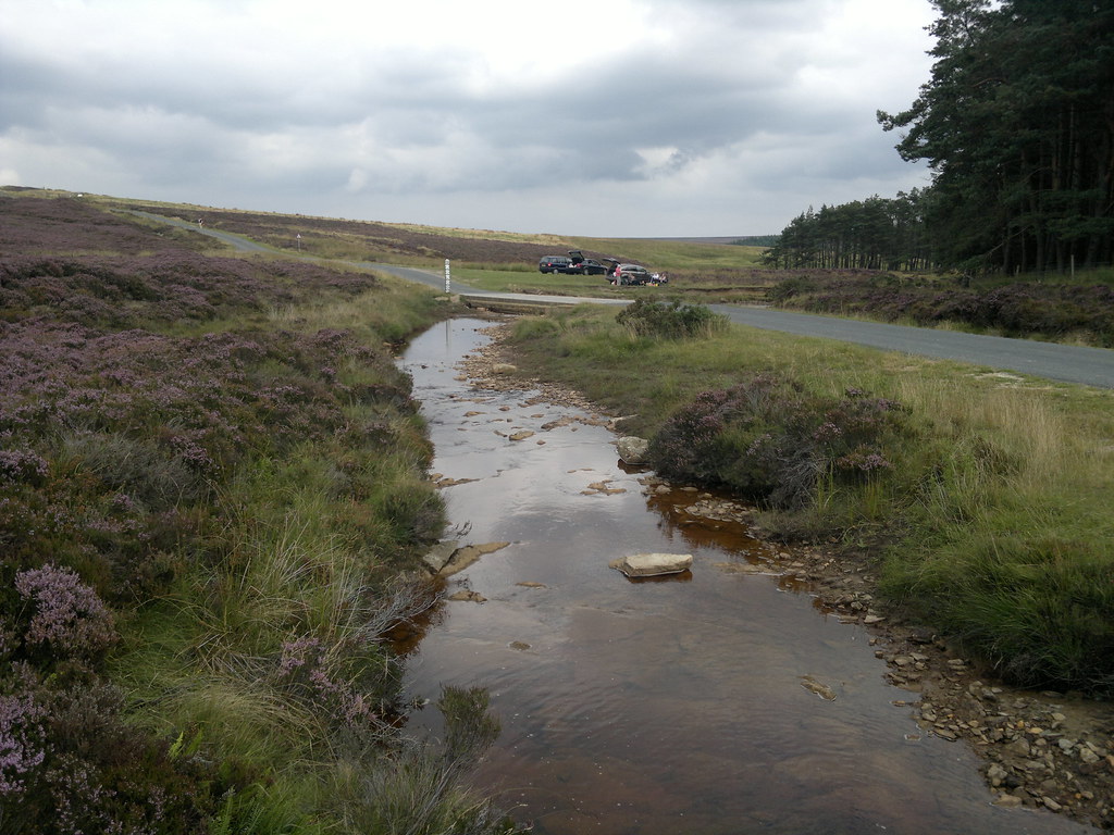 Wheeldale Moor Stream #1