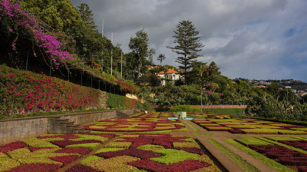 2013-11-18 (03) Funchal.Jardim Botânico