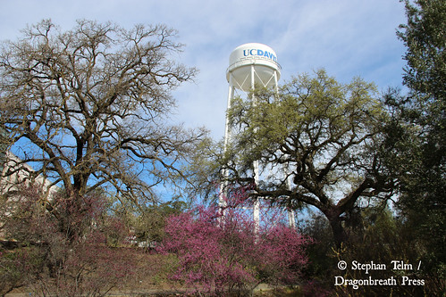 IMG_1829_UC Davis watertower
