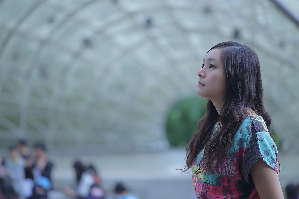 Nikon Nikkor P.C Auto 105mm f/2.5