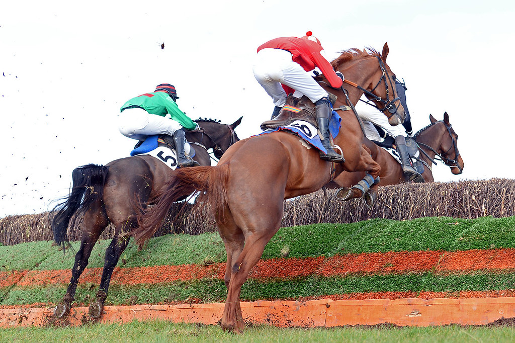 Galway Blazers Point to Point  Athenry  - Up and over!