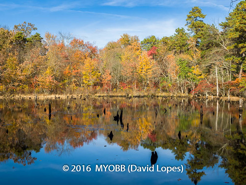 allaire allairestatepark em1 nj newjersey omd olympus fall foliage leafs nature park