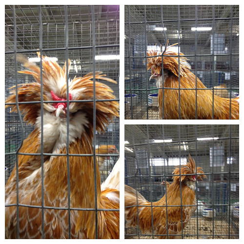 PicFrame | by jeffbridge66
