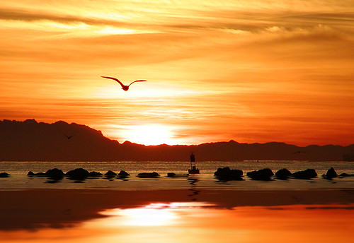 california december 2002 sunrise digitalart free creativecommons