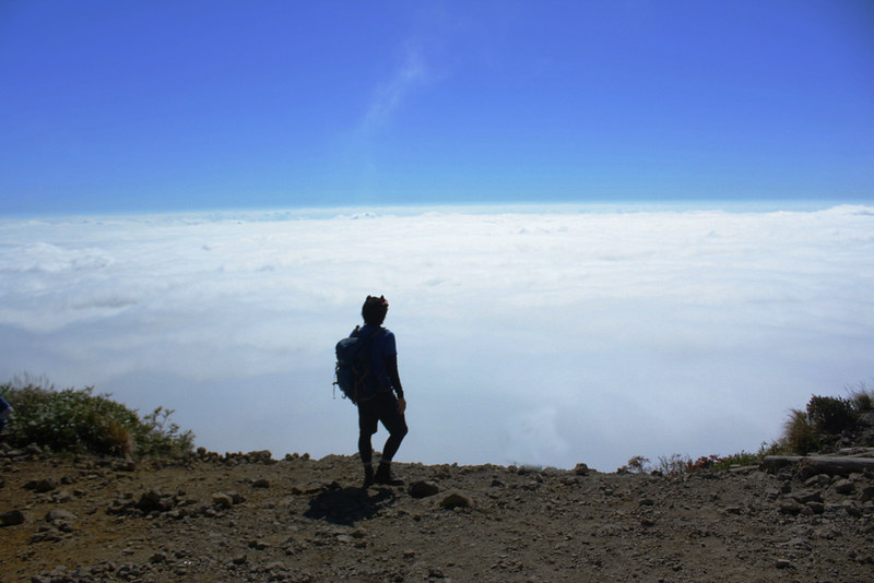 栗駒山の雲海