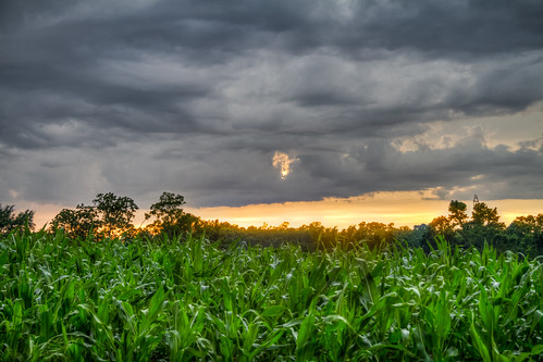 sunset storm clouds cornfield hdr severeweather indiantrail photomatix 2013 unioncountync june2013