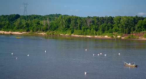 fish oklahoma pelicans water birds river fishing arkansasriver keystonedam tulsacounty