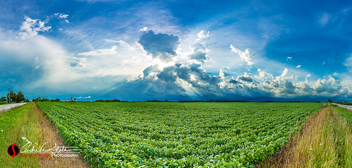 field clouds canon landscape horizon country panoramic farmland crop landscapephotography discoverwisconsin travelwisconsin 5dmarkiii statehwy20 andrewslaterphotography springprairiewi