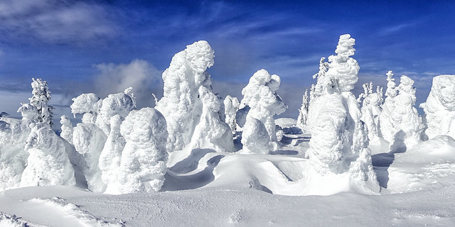 Snow Ghosts