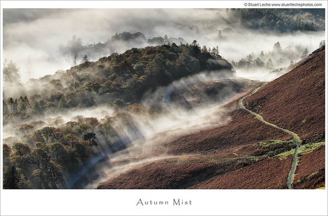 Autumn Mist 5
