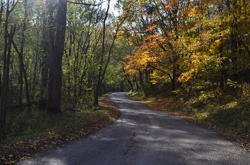road autumn light ohio fall landscape roads backroad hocking clearcreek